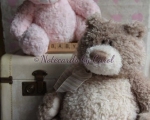 bundle-of-joy-553