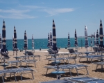 Beach Brollies