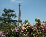Springtime in Paris