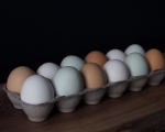 You’re a Good Egg