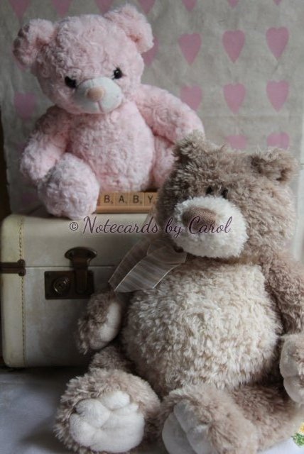 bundle-of-joy-553
