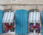 Provence Window Boxes